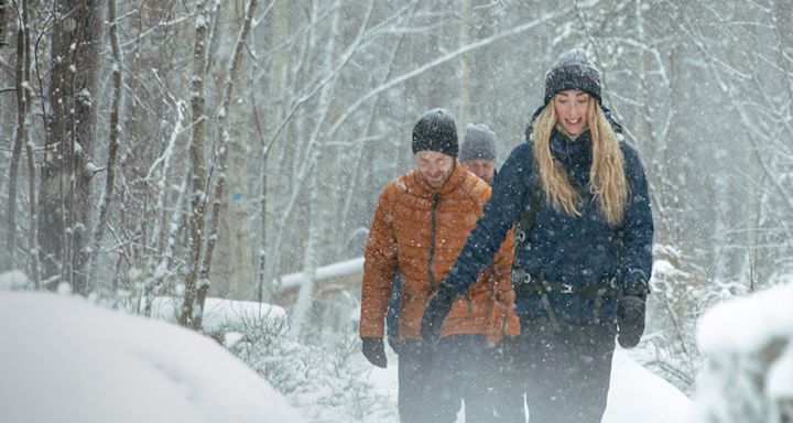 Vintervandring
