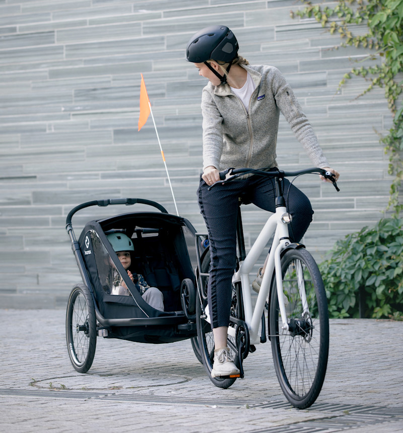 hamax kinderwagen