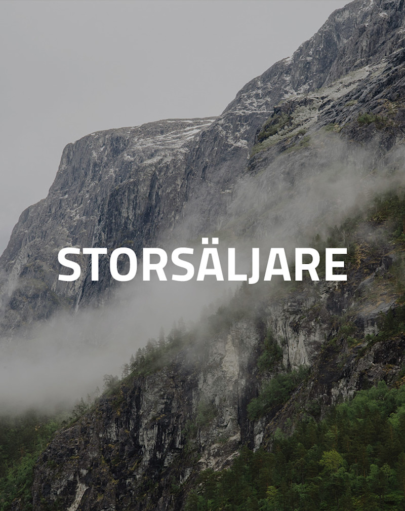 Se våra storsäljare