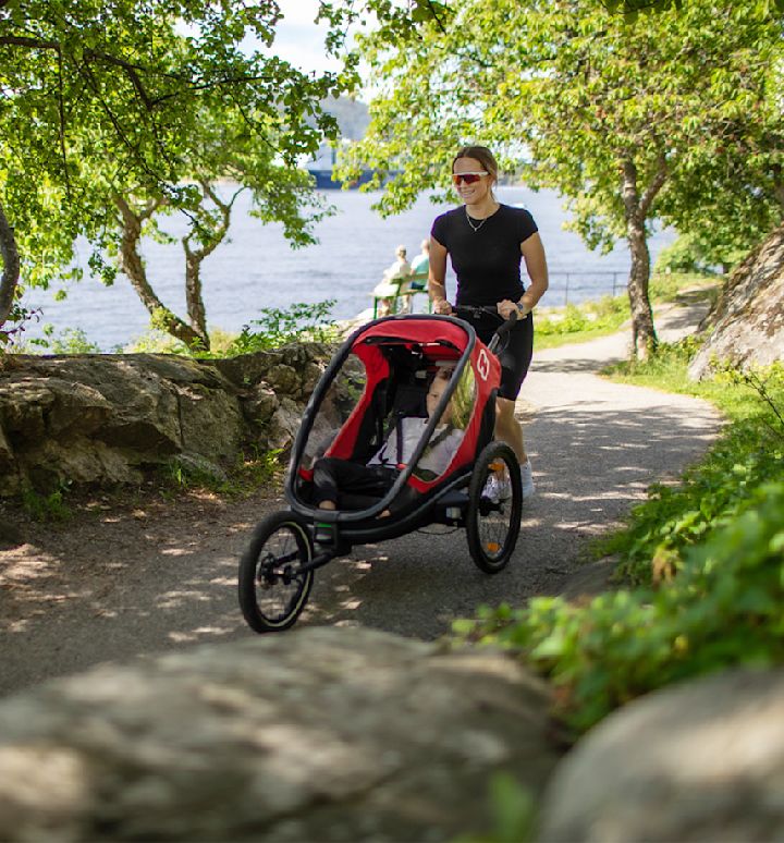 hamax kinderwagen